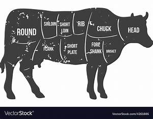 Cattle Butcher Chart Beef Cuts Diagram Meat Poster 24 Quot X36 Quot Collectibles