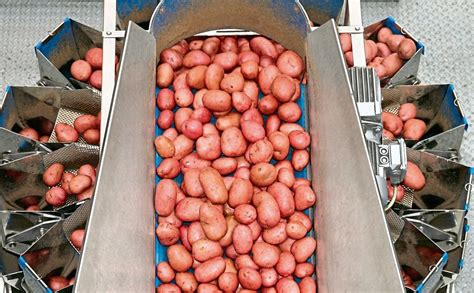 Potato Company Albert Bartlett Sees Profits Rise Potatopro
