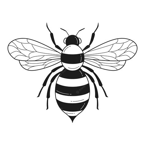 Black And Yellow Honey Bee Clip Art At Vector Clip Art
