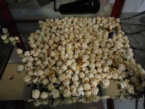 Supaya bisa menjadi popcorn, biji jagung tersebut harus sepenuhnya kering melalui proses pengeringan. Jual Biji Jagung PopCorn Mushroom Bulat 1kg di lapak Toko ...