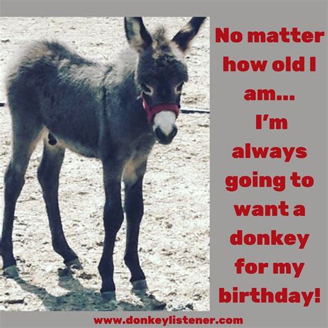A Donkey Standing On Top Of A Dirt Field Next To A Birthday Card With