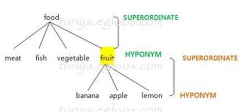 Meronymy (from the greek words meros = part and onoma = name) is a semantic relation. homograph-homonymy-homophones - concepts in semantics