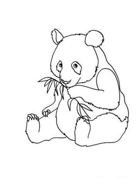Bella on march 14, 2020: Panda Coloring Pages - Best Coloring Pages For Kids