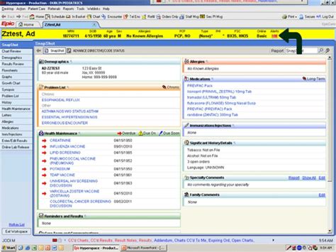 Example User Interface For A Patient Record In Epics Ehr Download