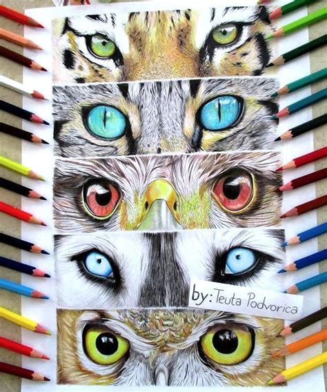 Cool Animal Eyes Drawing Ideas Opowiadaniaa1d