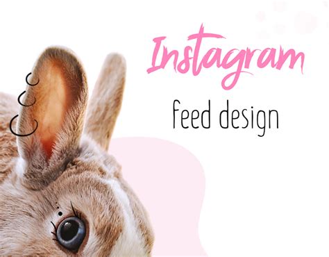 Instagram Feed Design On Behance