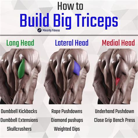 Ben Minority Fitness On Instagram How To Build Big Triceps By