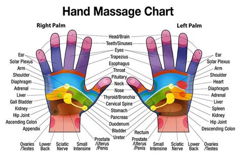 Free Downloadable Hand Massage Chart For Self Healing Hand Reflexology Reflexology Chart