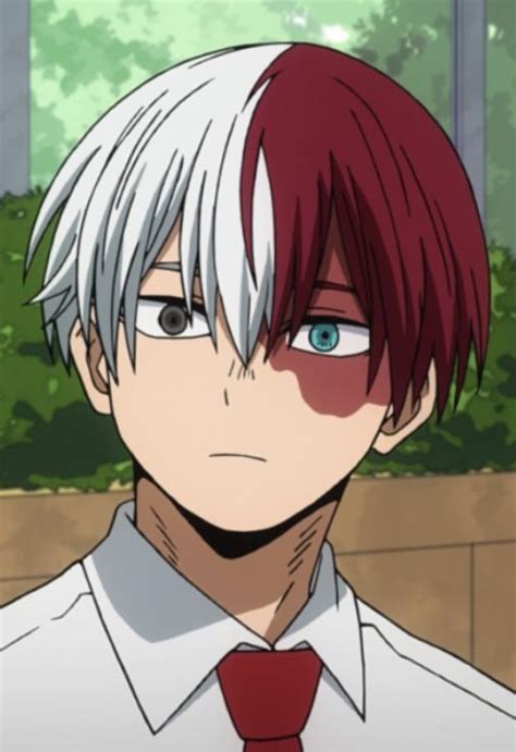 Pin by Fangirl on :3 | Anime, Anime guys, Todoroki shoto