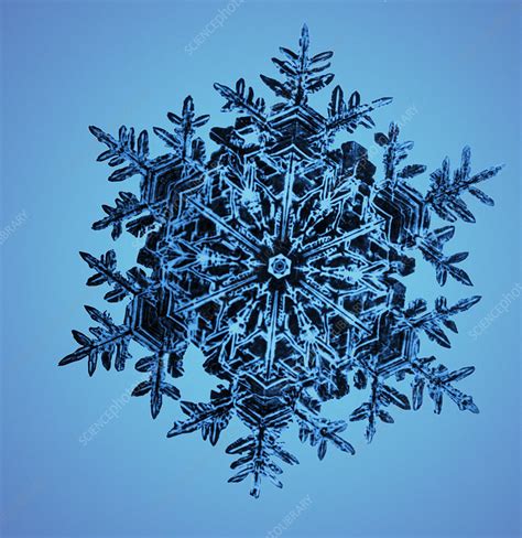 Snowflake Stock Image C0031985 Science Photo Library