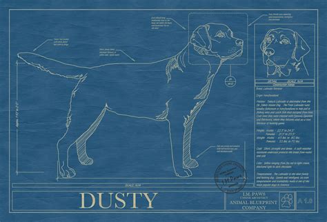 Pin By Animal Blueprint Company On Dog Blueprints Dog Wall Art