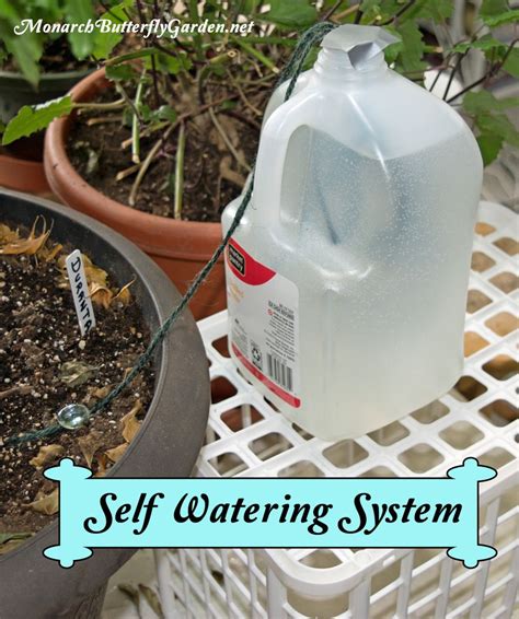 Homemade Watering System For Potted Plants Home And Garden Reference