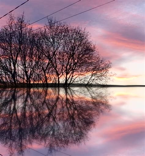 Sunset Trees Sky Reflections Image By Eyzuvgreen