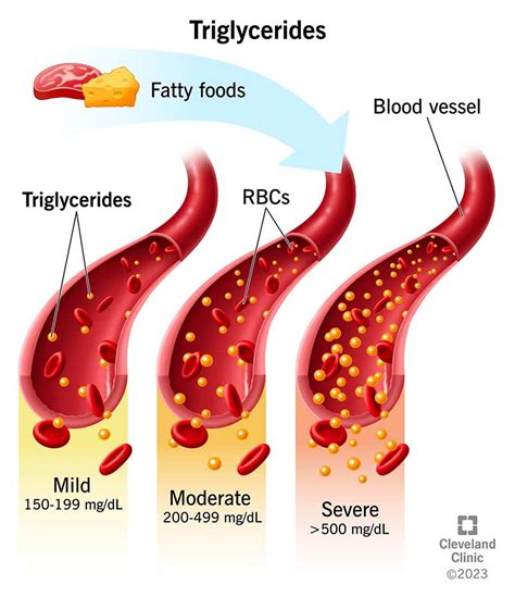 Triglycerides Levels And Normal Range