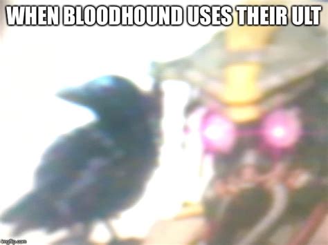Apex Legends Memes Bloodhound
