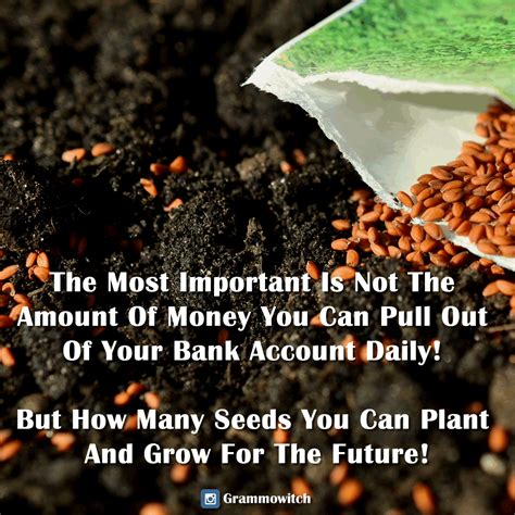 Grow And Plant Seeds For The Future Will Give You A Greater Pleasure In