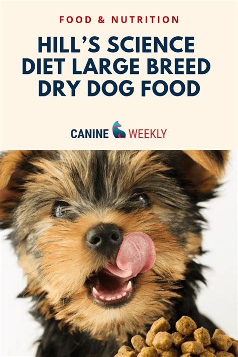 Compared to some other foods for older dogs, this science diet formula is lower in protein and fat. Hill's Science Diet Large Breed Dry Dog Food Reviews 2019 ...
