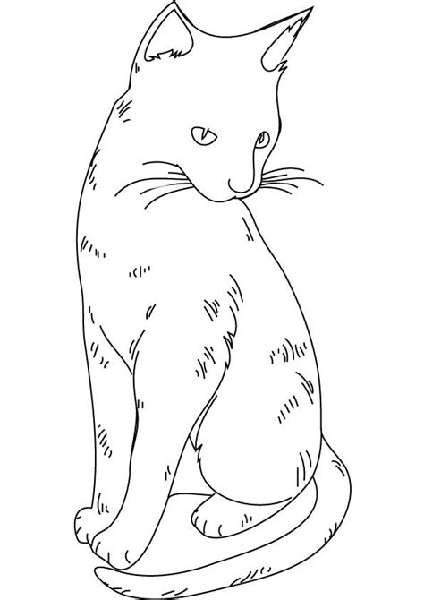 Your kid might need assistance while coloring this one due to certain complex you can discuss a cat's food habits while she enjoys coloring these free cat coloring pages to print. cat color pages printable | cat coloring picture for free ...