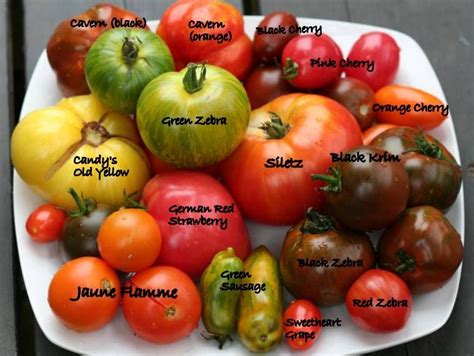 A Selection Of Some Heirloom Tomatoes And Their Names Heirloom