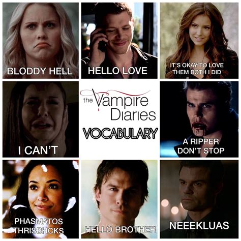 The Vampire Diaries Vampire Diaries Movie Vampire Diaries Funny