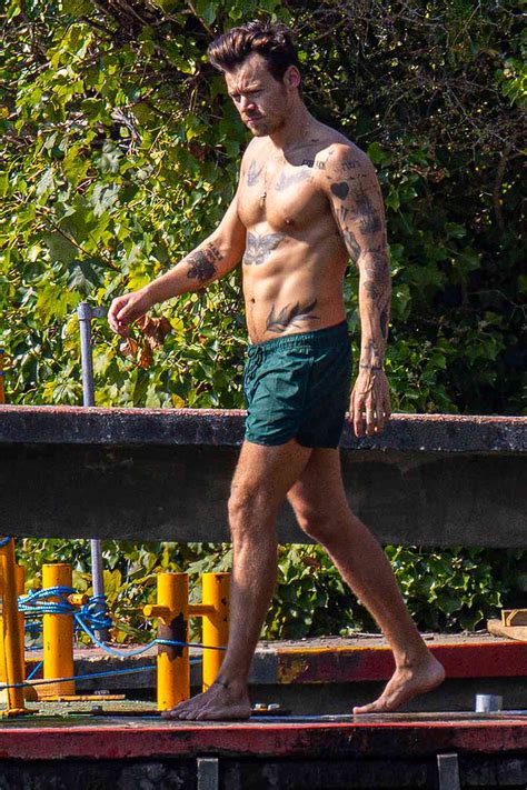 Harry Styles Beat The Uk Heat Wave With A Shirtless Swim