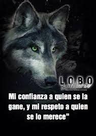 Ideas De Imagen Para Perfil Whatsapp Frases De Lobos Diario De Un Lobo Frases De Sabiduria