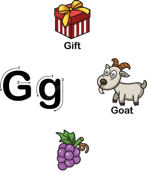 Alphabet Letter G T Goat Grape Vector Illustration Colorful Child