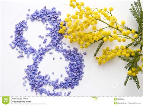 Maybe you would like to learn more about one of these? International Women's Day Mimosa Flower Stock Photo ...