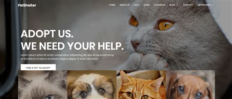 40 Free Animal And Pets Website Template For Animal Based Sites 2021