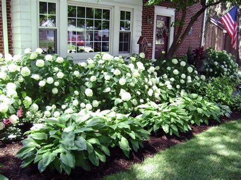 27 Magnificent Southern Front Yard Landscaping For Inspirations In 2020