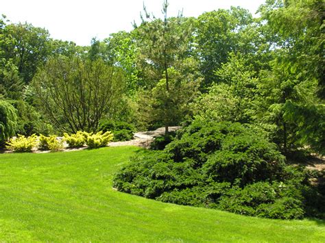 The New York Botanical Garden Iv Trees Digging Ri