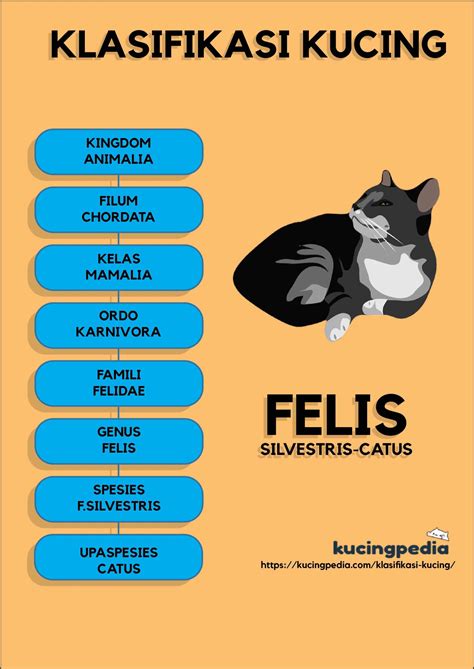 Contoh Teks Laporan Hasil Observasi Tentang Hewan Kucing Beserta