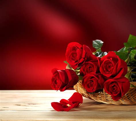 Romantic Red Rose Flowers Images Best Flower Site
