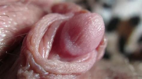 Pulsierende Harte Klitoris In Extremer Nahaufnahme Pornhub Com