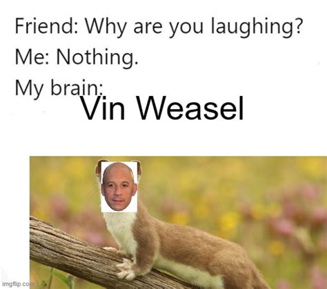 Vin Weasel Imgflip