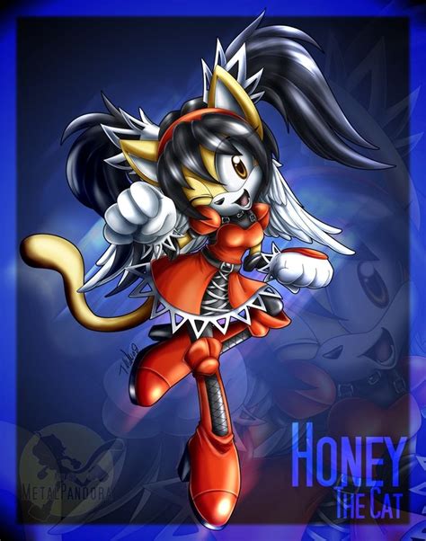 Honey The Cat Fan Art Honey The Cat Honey The Cat Sonic Fan Art