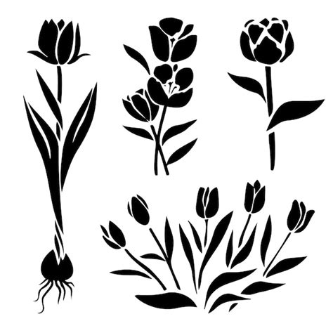 Tulip Flower Vectors And Illustrations For Free Download Freepik