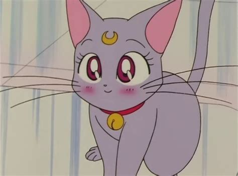 Cool Anime Cartoon Cats Kitten Sailor Moon Film Photography Japaneese