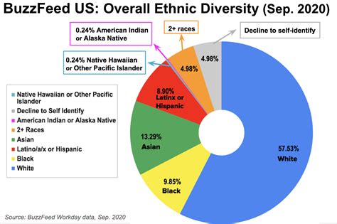 Us Racial Demographics Pie Chart Home Interior Design
