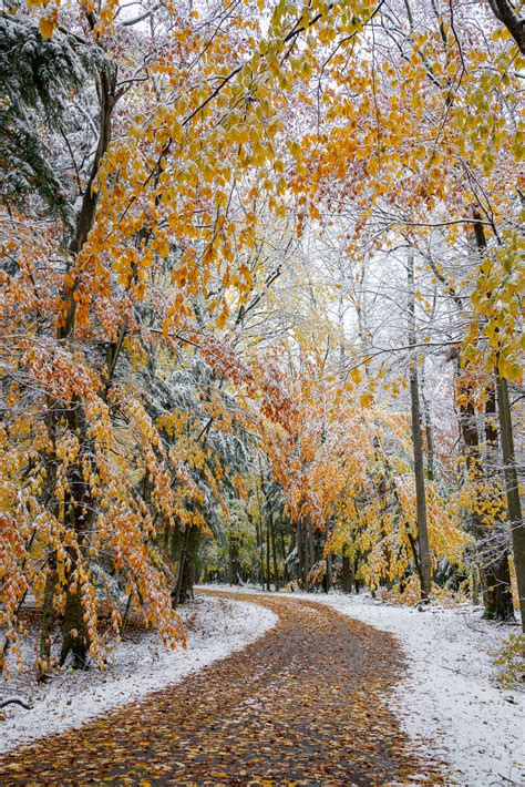 Snowy Fall Colors In Door County Wisconsin Luke Collins Photography
