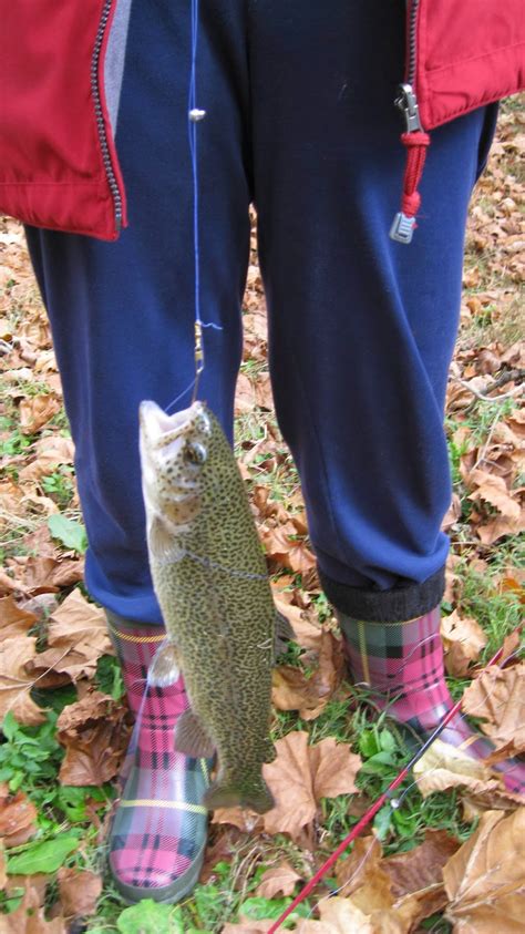 Objektif mewujudkan jalinan kerjasama dengan pertubuhan yang berdaftar di bawah jppm. Lee County Virginia: Stop # 29: Fishing in Trout-Stocked ...