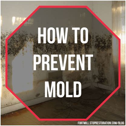 The best approach is preventing mold before it becomes a problem. How to Prevent Mold in Your Lake Wylie, South Carolina Home