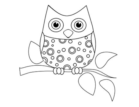Since the plumages of these birds vary greatly in color and design. Baby Owl Drawing at GetDrawings | Free download