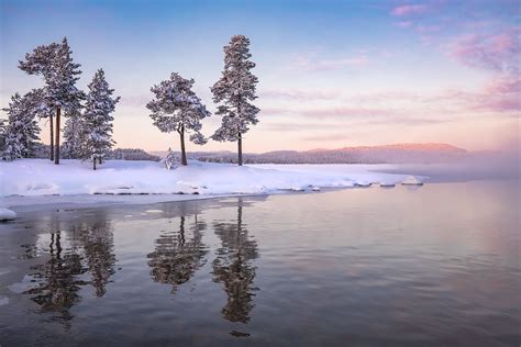 Nature Landscape Trees Winter Snow Lake Reflection Ice Mist Hd