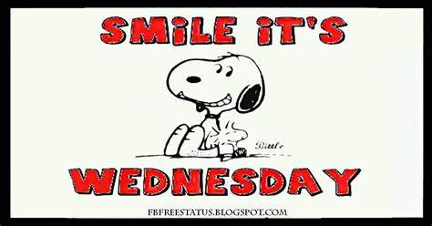 It will be so cool to wish all your friends and family members at such a pleasant night. It's Wednesday, Funny & Happy Wednesday Meme with ...