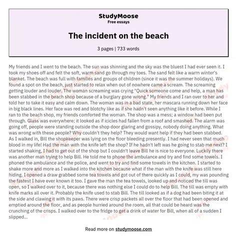 The Incident On The Beach Free Essay Example