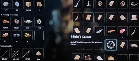 Quest Items Issue Assassin S Creed Valhalla Dev Tracker