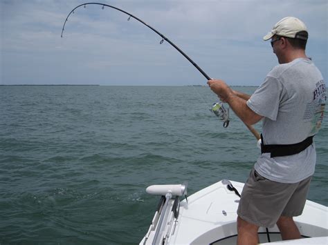 Tarpon Fishing Clearwater Fl Capt Brian Caudill