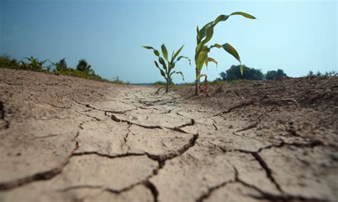 Sc Drought Conditions Worsen Fitsnews