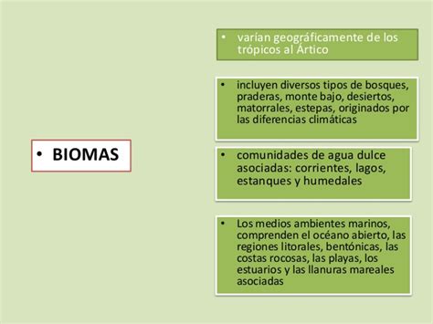Cuadros Comparativos De Biomas Cuadro Comparativo